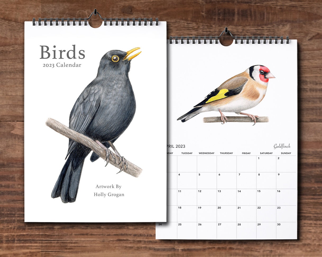 Bird Calendar - Etsy