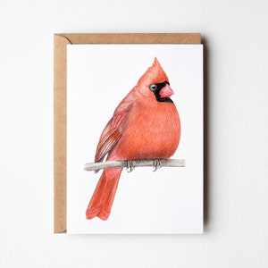 Cardinal Greeting Card - Bird Card - A6