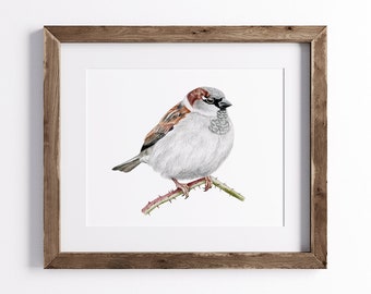 Sparrow Print - Bird Print - Wildlife Art Print