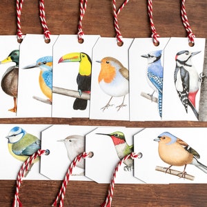 Bird Gift Tags - Pack of 16 - Nature Art Gift Tags