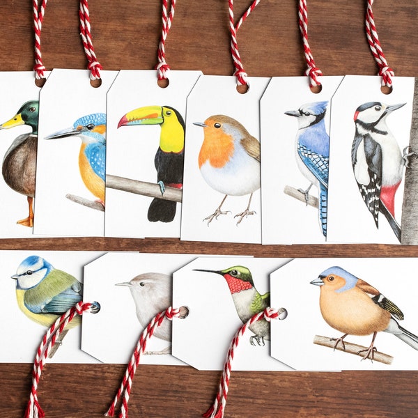 Etiquettes cadeaux Oiseaux - Lot de 16 - Etiquettes cadeaux Art de la nature