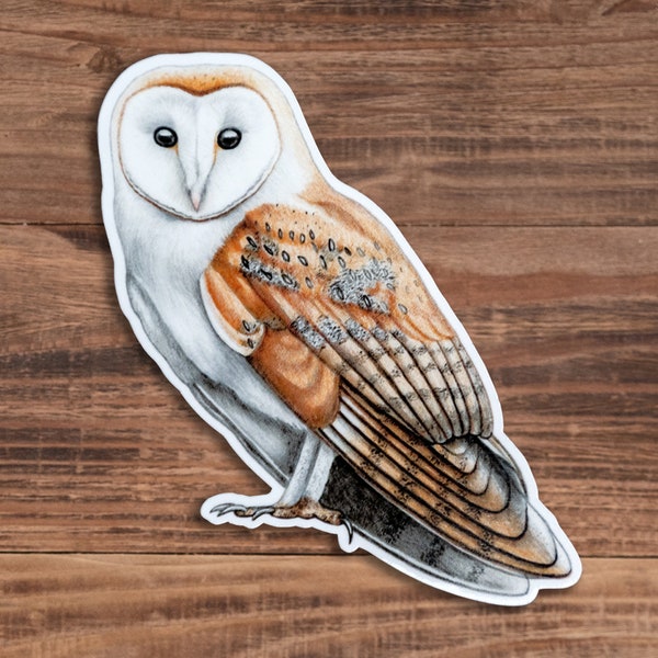 Barn Owl Sticker - Glossy Vinyl Bird Sticker