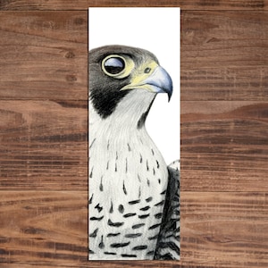 Peregrine Falcon Bookmark - Bird of Prey Bookmark - Bird Lover Gift