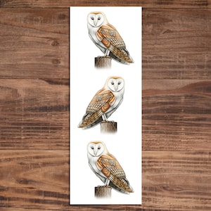 Barn Owl Bookmark - Bird Bookmark - Gift for Owl Lover
