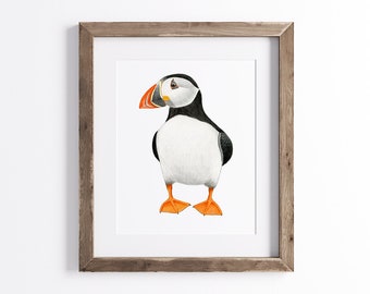 Puffin Print - Bird Print - Wildlife Art Print