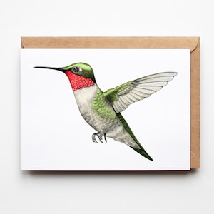 Hummingbird Card - Bird Greeting Card - A6