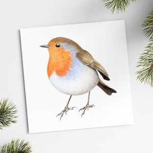 Robin Card, Biglietto di auguri per uccelli, Biglietto di auguri vuoto per la fauna selvatica