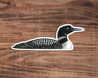 Großer Nordtaucher Sticker - Common Loon Sticker - Glossy Vinyl Bird Sticker