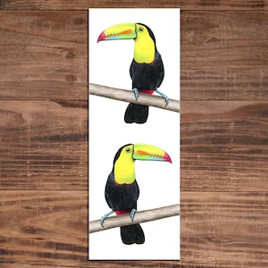Keel Billed Toucan Bookmark - Bird Bookmark - Gift for Bird Lover