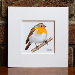 Original Robin Coloured Pencil Drawing
