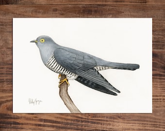 Cuckoo - Original Drawing - 22cm x 15cm