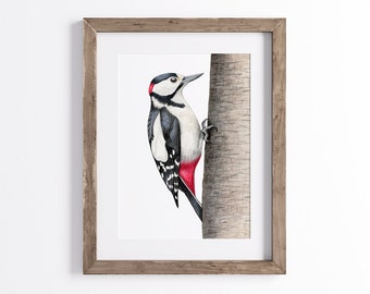 Great Spotted Woodpecker Print - Bird Print - Wildlife Art Print - UNFRAMED