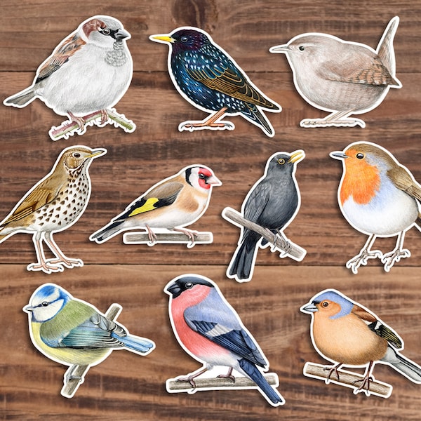 Autocollants Oiseaux de Jardin - Paquet de 10 - Autocollants en Vinyle Brillant