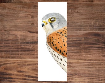 Marque-page crécerelle - marque-page oiseau de proie - cadeau amoureux des oiseaux