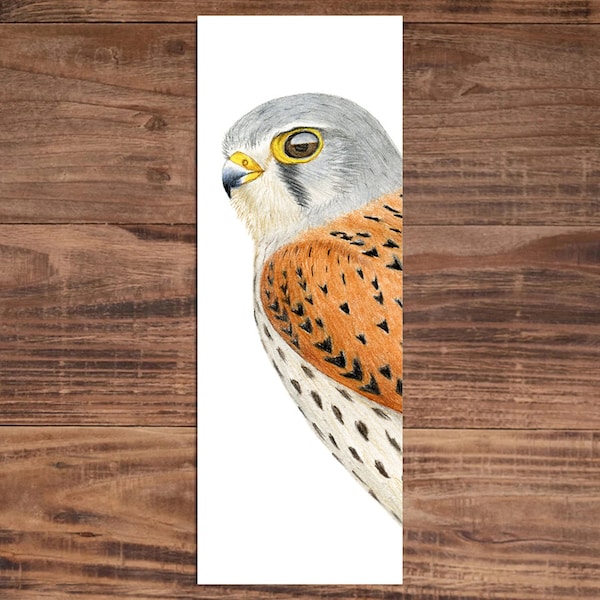 Kestrel Bookmark - Bird of Prey Bookmark - Bird Lover Gift