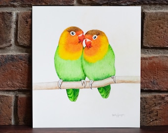 Lovebirds - Original Buntstift Zeichnung - 8,5 x 7,5 Zoll