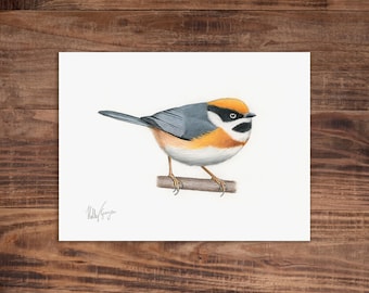 エナガの鳥の絵、オリジナルアートワーク、手描きのイラスト、8