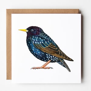 Spreeuw Kaart - Vogel Wenskaart