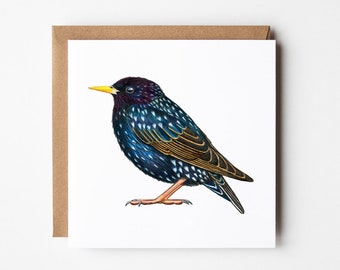 Cartão Starling - Cartão de Pássaro