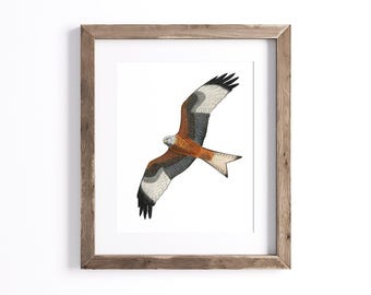 Red Kite - Bird Print - Wildlife Art Print - UNFRAMED