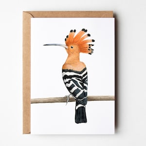 Carte de vœux Huppe - Carte d’oiseau - A6