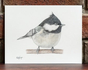 Coal Tit - Original Coloured Pencil Drawing - 6 x 8 inches