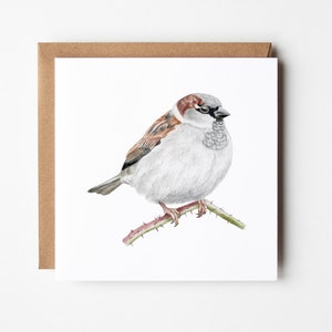 Biglietto di passero, biglietto di auguri per uccelli, biglietto di auguri vuoto per la fauna selvatica