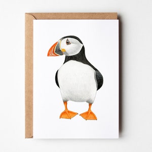 Papegaaiduiker Wenskaart - Vogelkaart - A6