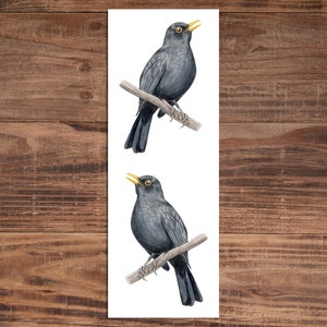 Op de afbeelding: Twee illustraties van een merel op een tak. De vogels hebben zwarte veren, gele snavels en gele ogen. De takken zijn bruin, tegen een witte achtergrond. Het kunstwerk is gedetailleerd en realistisch.