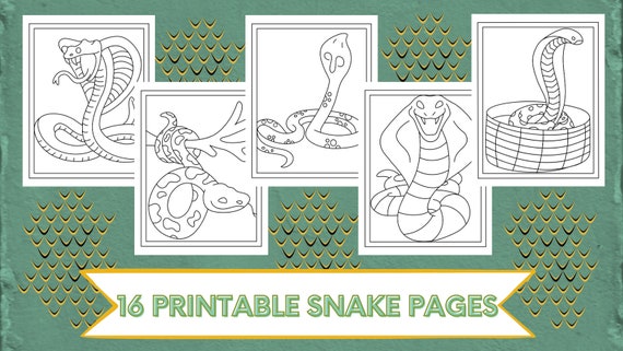 16 Printable Snake Coloring Pages - Etsy