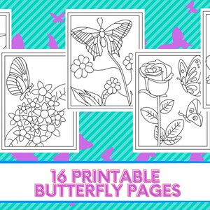 16 Printable Butterfly Coloring Pages
