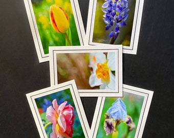 Flower Photo Cards - Flowers - Flower Note Cards - Flower Photography - Nature Photography - Gifts for Flower Lovers