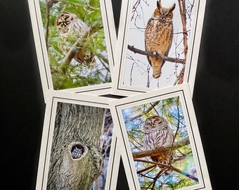 Owl Photo Cards - Owl - Bird Note Cards - Bird Photography - Barred Owl - Great Horned Owl - Screech Owl - Gifts for Bird Lovers