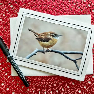 May include: A brown and white bird with a long, thin beak perched on a branch. The bird is facing to the right and has a light brown breast and a darker brown back. The background is a blurry image of a forest.
