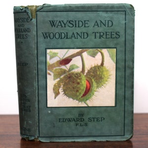 Wayside and Woodland Trees by Edward Step - A Guide to the British Sylva - Vintage Mid-Century Hardback with Dust Jacket - Warne