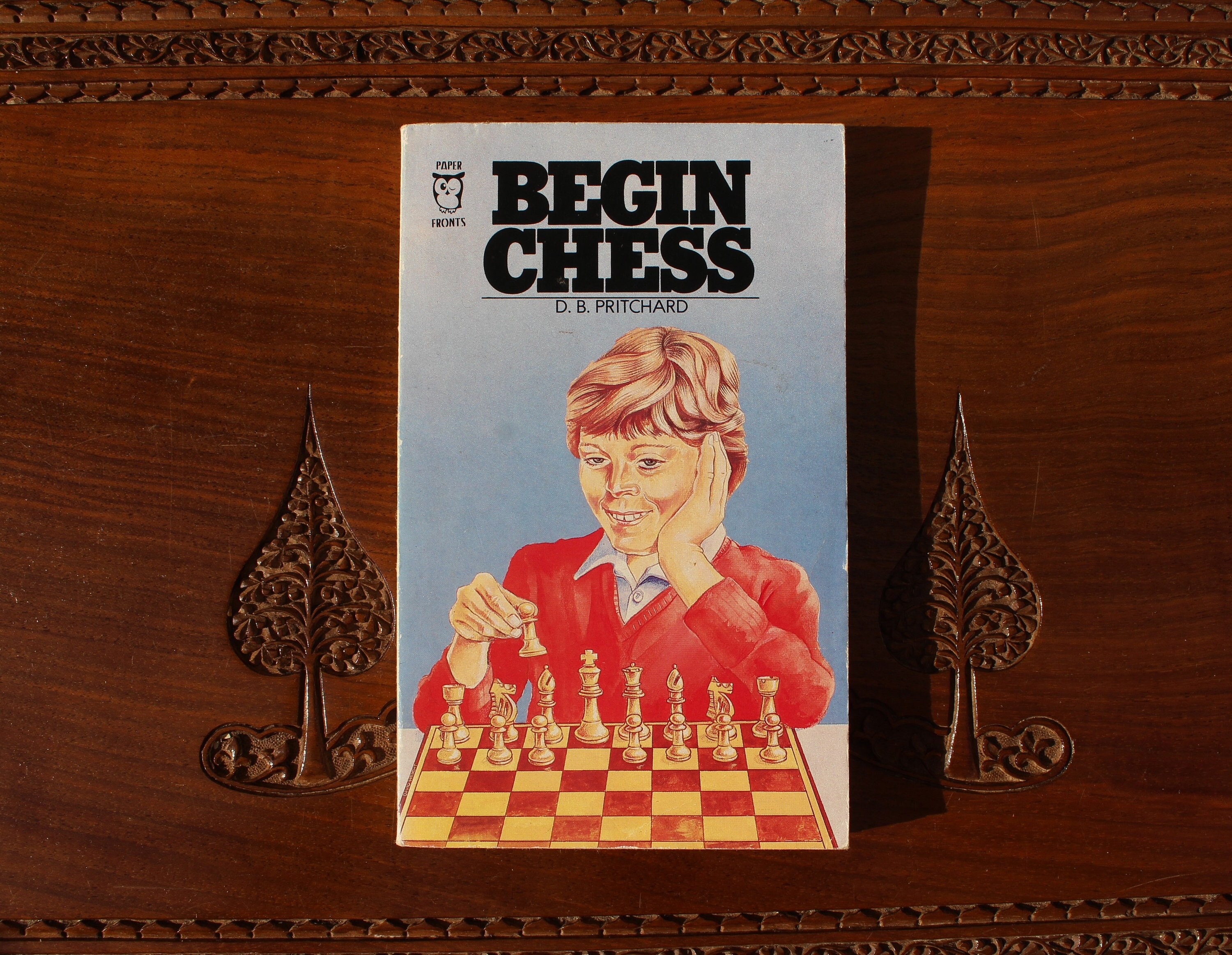 The Sicilian Defense Chess Opening Vintage Book Cover Poster Style - Sicilian  Defense - Posters and Art Prints