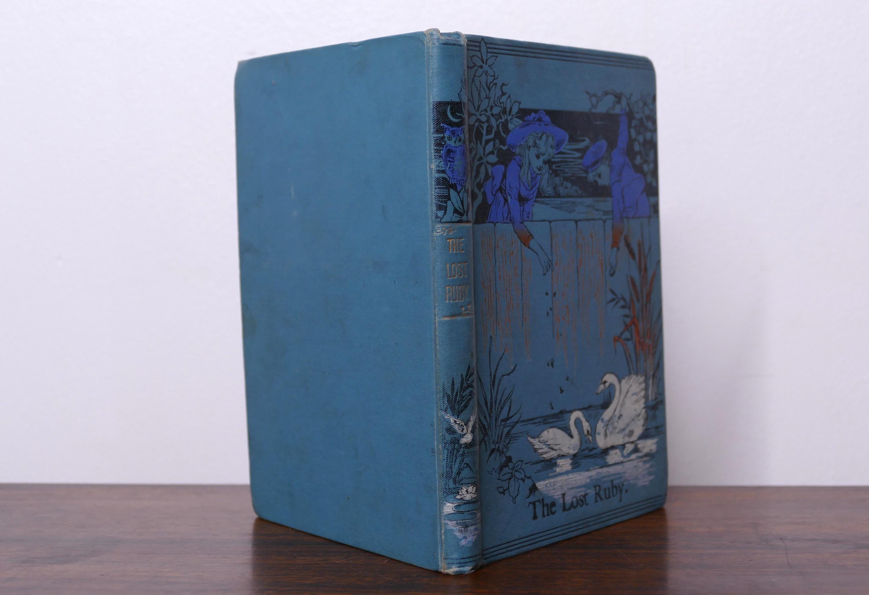 失われたルビー：少年少女のための物語 クリストフ・フォン