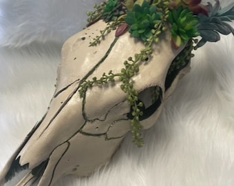 May include: A white animal skull with a variety of green and red succulents and greenery growing from the top.