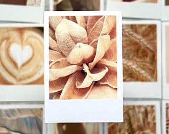 Neutrals Brown Aesthetic Themed Sticker Pack for Journaling, Bullet Journal, Planner, junk journal, snail mail stationary, fall crafts