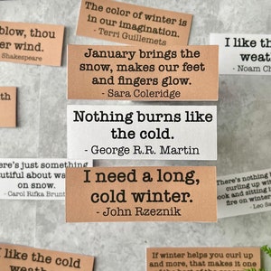 May include: A collection of inspirational quotes about winter, printed on small brown cards with white text. The quotes are about the beauty of winter, the cold, and the feeling of winter. The cards are arranged on a brown surface with a green fern leaf in the bottom right corner.