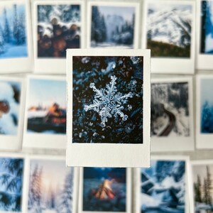 Pacote de adesivos Blue Winter Wonderland Forest para diário, diário de marcadores, diário de viagem, suprimentos de planejador, diário de lixo, artigos de papelaria de inverno