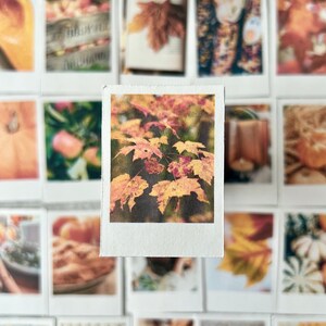 Collage containing 25 small polaroid style stickers. The photos on the stickers are Cozy Fall Themed.