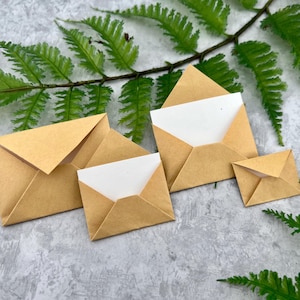 Peut inclure: Quatre petites enveloppes carrées en papier brun, dont certaines sont ouvertes pour révéler l'intérieur blanc, sont disposées sur une surface grise texturée. Des frondes de fougères vertes encadrent la composition.