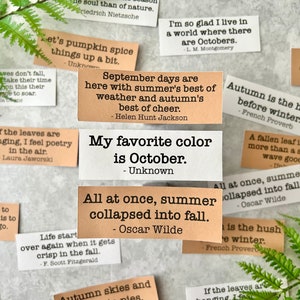 Fall Quotes, Autumn Quote sticker pack for Journaling, Bullet Journal,Planner, Journal Ephemera,Snail Mail, Cozy Fall Crafts,Word Stationery