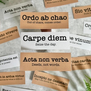 Pack d'autocollants phrases latines sombres pour la tenue d'un journal, Bullet Journal, Junk Journal, Agenda, Journal Ephemera, Stickers livresques
