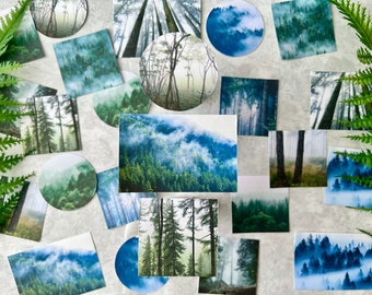 Fall Misty Forest Sticker Pack for Journaling, Bullet Journal, Planner, snail mail, Scrapbooking Supplies, Moody Fall Aesthetic Stickers