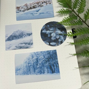 May include: A collection of four winter-themed images. The first image shows a snowy mountain range with trees in the foreground. The second image shows a snowy mountain peak with clouds in the background. The third image shows a close-up of a pine tree branch covered in snow. The fourth image shows a snowy forest with trees covered in frost.
