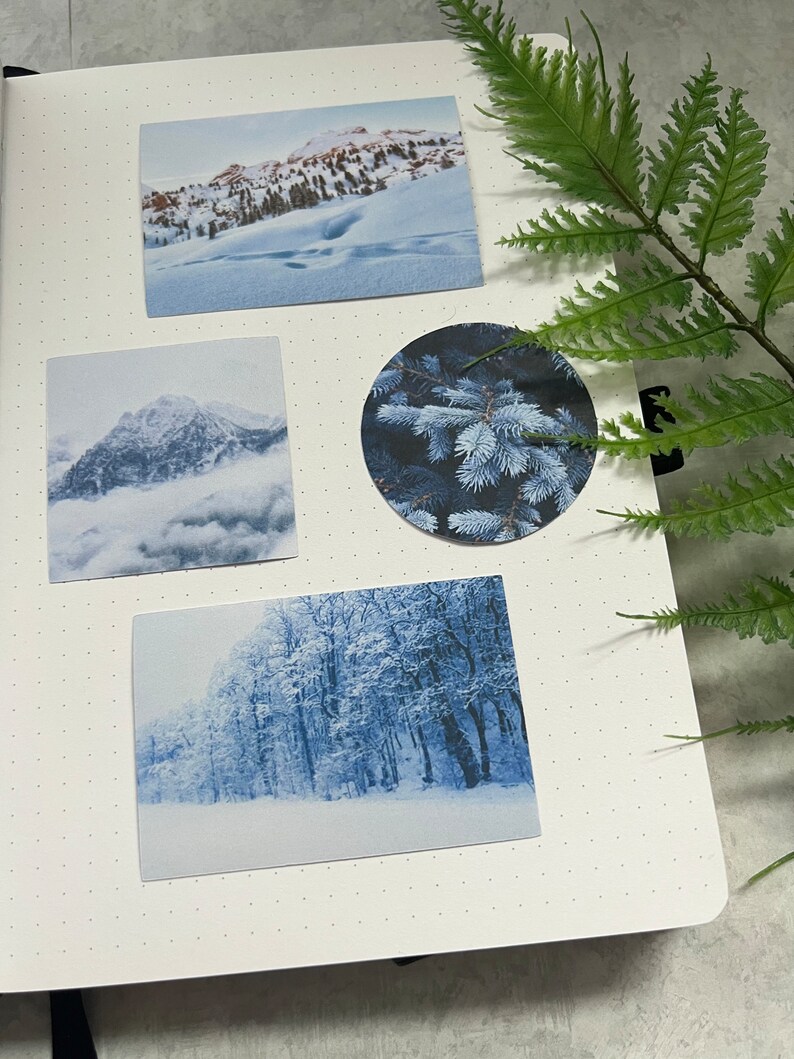 May include: A collection of four winter-themed images. The first image shows a snowy mountain range with trees in the foreground. The second image shows a snowy mountain peak with clouds in the background. The third image shows a close-up of a pine tree branch covered in snow. The fourth image shows a snowy forest with trees covered in frost.