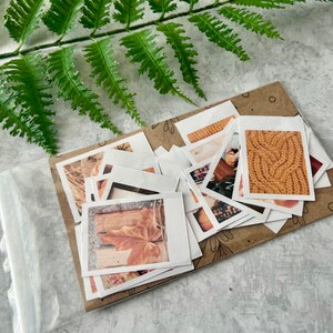 25 Cozy Fall themed polaroid style stickers packaged on a 3 by 5 clear cello bag with a brown sleeve. It is next to a green fern leaf on a light grey background.