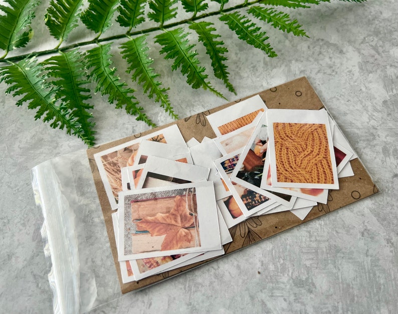 25 Cozy Fall themed polaroid style stickers packaged on a 3 by 5 clear cello bag with a brown sleeve. It is next to a green fern leaf on a light grey background.